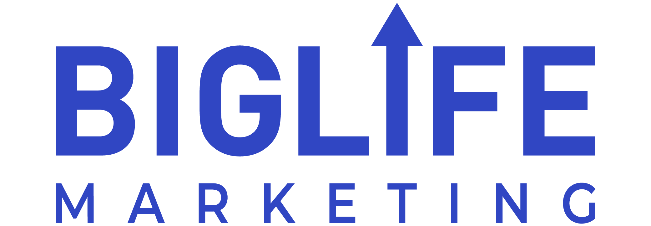 Big Life Marketing